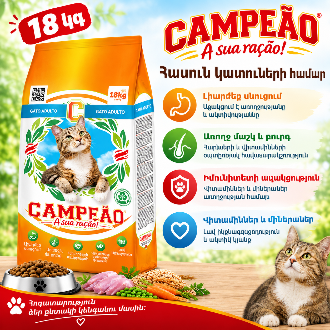 CAMPEAO CAT չոր կեր կատուների համար